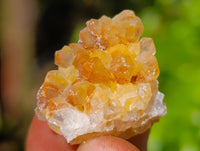 Natural Purple Amethyst and Golden Limonite Single Quartz Crystals x 3.19 Kg Lot From Zambia - Toprock Gemstones and Minerals