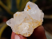 Natural Mixed Single Crystals x 1.68 Kg Lot From Southern Africa - Toprock Gemstones and Minerals