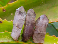 Natural Mixed Single Crystals x 1.68 Kg Lot From Southern Africa - Toprock Gemstones and Minerals