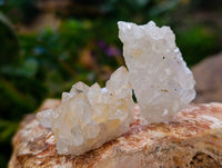 Natural Mixed Single Crystals x 1.68 Kg Lot From Southern Africa - Toprock Gemstones and Minerals