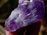 Natural Mixed Single Crystals x 1.68 Kg Lot From Southern Africa - Toprock Gemstones and Minerals