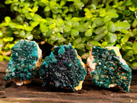 Natural Dioptase On Dolomite Specimens x 3 From Likasi, Congo - Toprock Gemstones and Minerals