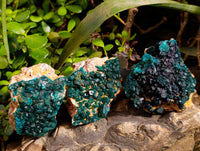 Natural Dioptase On Dolomite Specimens x 3 From Likasi, Congo - Toprock Gemstones and Minerals