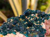 Natural Dioptase On Dolomite Specimens x 3 From Likasi, Congo - Toprock Gemstones and Minerals