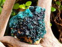 Natural Dioptase On Dolomite Specimens x 3 From Likasi, Congo - Toprock Gemstones and Minerals