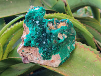 Natural Large Dioptase On Dolomite Specimens x 3 From Mashamba East Mine, Congo - Toprock Gemstones and Minerals