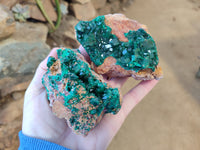 Natural Large Dioptase On Dolomite Specimens x 3 From Mashamba East Mine, Congo - Toprock Gemstones and Minerals