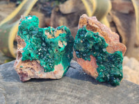 Natural Large Dioptase On Dolomite Specimens x 3 From Mashamba East Mine, Congo - Toprock Gemstones and Minerals