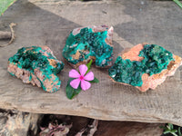 Natural Large Dioptase On Dolomite Specimens x 3 From Mashamba East Mine, Congo - Toprock Gemstones and Minerals