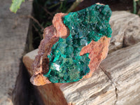 Natural Large Dioptase On Dolomite Specimens x 3 From Mashamba East Mine, Congo - Toprock Gemstones and Minerals