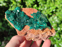 Natural Large Dioptase On Dolomite Specimens x 3 From Mashamba East Mine, Congo - Toprock Gemstones and Minerals