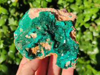 Natural Large Dioptase On Dolomite Specimens x 3 From Mashamba East Mine, Congo - Toprock Gemstones and Minerals