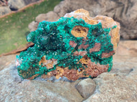 Natural Large Dioptase On Dolomite Specimens x 3 From Mashamba East Mine, Congo - Toprock Gemstones and Minerals