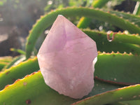 Natural Jacaranda Amethyst Quartz Cluster x 6 From Mumbwa, Zambia - Toprock Gemstones and Minerals