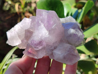 Natural Jacaranda Amethyst Quartz Cluster x 6 From Mumbwa, Zambia - Toprock Gemstones and Minerals