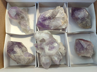 Natural Jacaranda Amethyst Quartz Cluster x 6 From Mumbwa, Zambia - Toprock Gemstones and Minerals