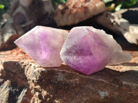 Natural Jacaranda Amethyst Quartz Cluster x 6 From Mumbwa, Zambia - Toprock Gemstones and Minerals