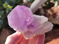 Natural Jacaranda Amethyst Quartz Cluster x 6 From Mumbwa, Zambia - Toprock Gemstones and Minerals