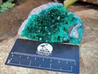 Natural Dioptase with Malachite and Shattuckite On Dolomite Specimens x 3 From Likasi, Congo - Toprock Gemstones and Minerals