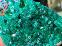 Natural Dioptase with Malachite and Shattuckite On Dolomite Specimens x 3 From Likasi, Congo - Toprock Gemstones and Minerals
