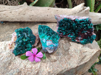 Natural Dioptase with Malachite and Shattuckite On Dolomite Specimens x 3 From Likasi, Congo - Toprock Gemstones and Minerals