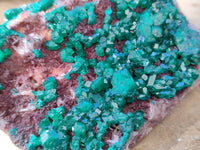 Natural Dioptase with Malachite and Shattuckite On Dolomite Specimens x 3 From Likasi, Congo - Toprock Gemstones and Minerals