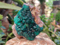 Natural Dioptase with Malachite and Shattuckite On Dolomite Specimens x 3 From Likasi, Congo - Toprock Gemstones and Minerals