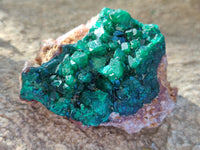 Natural Dioptase with Malachite and Shattuckite On Dolomite Specimens x 3 From Likasi, Congo - Toprock Gemstones and Minerals