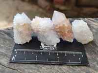 Natural Single White Cactus Flower Spirit Quartz Crystals x 35 From South Africa - Toprock Gemstones and Minerals