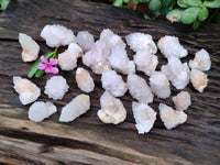Natural Single White Cactus Flower Spirit Quartz Crystals x 35 From South Africa - Toprock Gemstones and Minerals