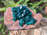 Natural Dioptase On Dolomite Specimens x 3 From Likasi, Congo - Toprock Gemstones and Minerals