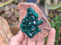 Natural Dioptase On Dolomite Specimens x 3 From Likasi, Congo - Toprock Gemstones and Minerals