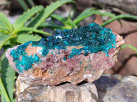 Natural Dioptase On Dolomite Specimens x 3 From Likasi, Congo - Toprock Gemstones and Minerals
