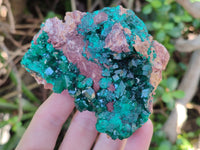 Natural Large Dioptase On Dolomite Specimens x 3 From Mashamba East Mine, Congo - Toprock Gemstones and Minerals