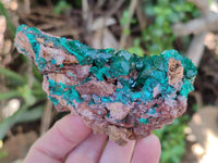 Natural Large Dioptase On Dolomite Specimens x 3 From Mashamba East Mine, Congo - Toprock Gemstones and Minerals