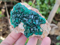 Natural Large Dioptase On Dolomite Specimens x 3 From Mashamba East Mine, Congo - Toprock Gemstones and Minerals