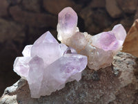 Natural Jacaranda Amethyst Quartz Cluster x 6 From Mumbwa, Zambia - Toprock Gemstones and Minerals