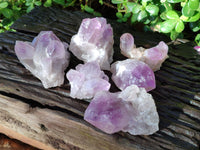 Natural Jacaranda Amethyst Quartz Cluster x 6 From Mumbwa, Zambia - Toprock Gemstones and Minerals