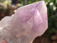 Natural Jacaranda Amethyst Quartz Cluster x 6 From Mumbwa, Zambia - Toprock Gemstones and Minerals