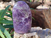 Polished Purple Lepidolite Standing Free Forms x 3 From Zimbabwe - Toprock Gemstones and Minerals