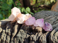 Natural Mixed Cactus Spirit Quartz Crystals x 52 From South Africa - Toprock Gemstones and Minerals