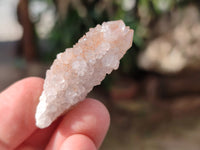 Natural Mixed Cactus Spirit Quartz Crystals x 52 From South Africa - Toprock Gemstones and Minerals