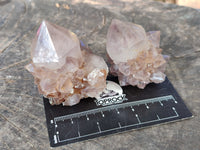 Natural Cactus Flower Smokey Amethyst Spirit Clusters x 12 From South Africa - Toprock Gemstones and Minerals