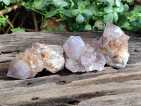 Natural Cactus Flower Smokey Amethyst Spirit Clusters x 12 From South Africa - Toprock Gemstones and Minerals