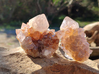 Natural Cactus Flower Smokey Amethyst Spirit Clusters x 12 From South Africa - Toprock Gemstones and Minerals
