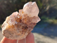 Natural Cactus Flower Smokey Amethyst Spirit Clusters x 12 From South Africa - Toprock Gemstones and Minerals