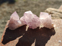 Natural Cactus Flower Amethyst Spirit Crystals x 35 From South Africa - Toprock Gemstones and Minerals