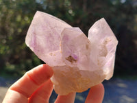 Natural Jacaranda Amethyst Quartz Crystals x 6 From Mumbwa, Zambia - Toprock Gemstones and Minerals