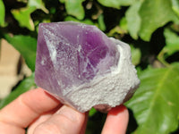 Natural Jacaranda Amethyst Quartz Crystals x 6 From Mumbwa, Zambia - Toprock Gemstones and Minerals