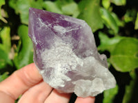 Natural Jacaranda Amethyst Quartz Crystals x 6 From Mumbwa, Zambia - Toprock Gemstones and Minerals